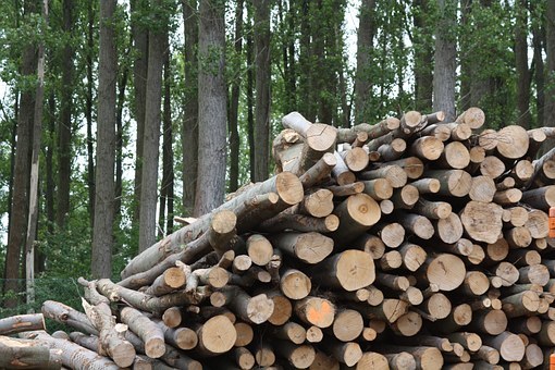 wood-825792__340.jpg